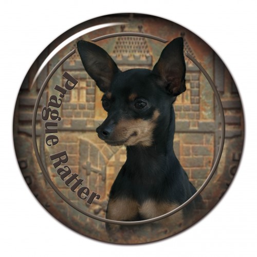 3D sticker Prague Ratter 101 C