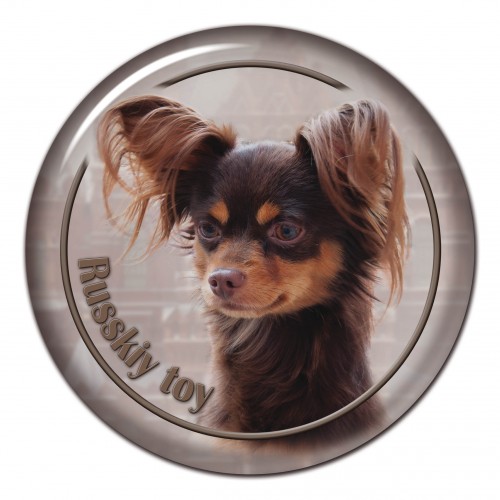 3D sticker Russkiy Toy 101 C