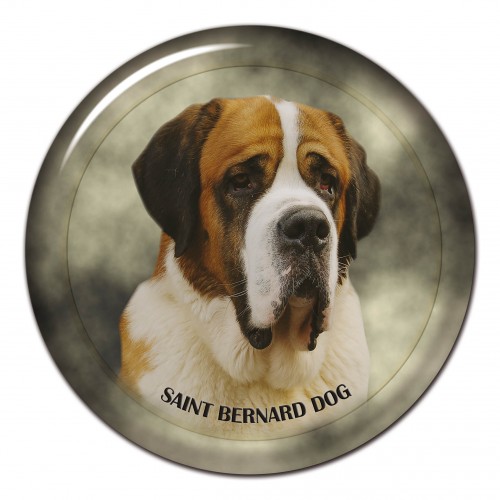 3D sticker Saint Bernard Dog 101 C