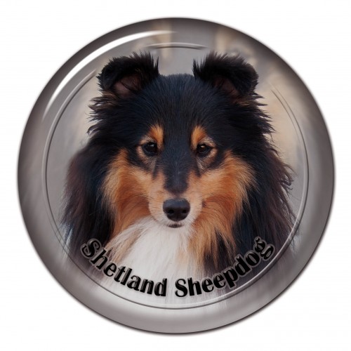 3D sticker Shetland Sheepdog 102 C