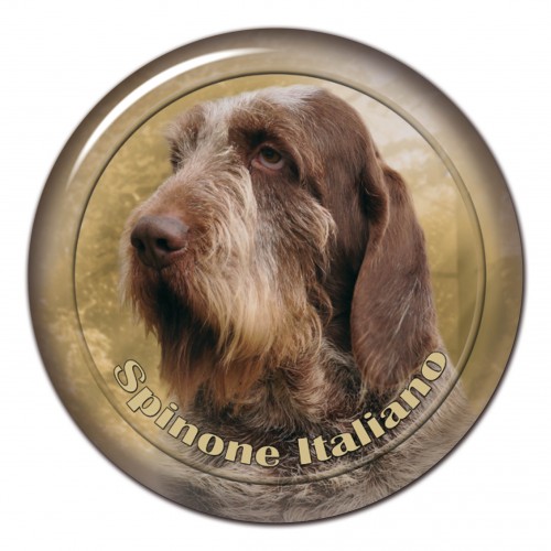 3D sticker Spinone Italiano 101 C