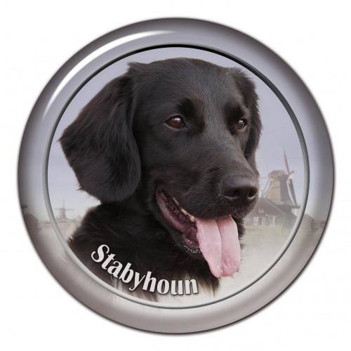 3D sticker Stabyhoun 101 C