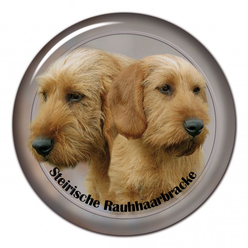 3D sticker Steirische Rauhhaarbracke 101 C