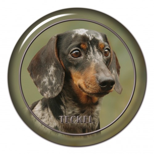 3D sticker Teckel 102 C