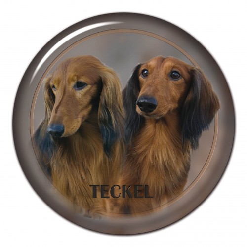 3D sticker Teckel 301 C