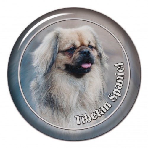 3D sticker Tibetan Spaniel 101 C