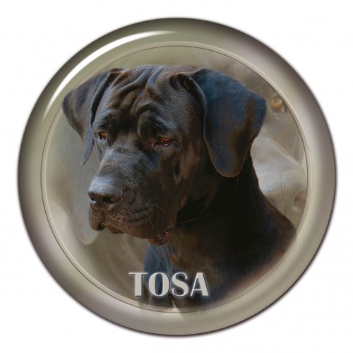 3D sticker Tosa 101 C