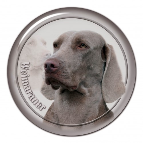 3D sticker Weimaraner 101 C
