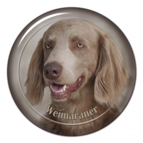 3D sticker Weimaraner 102 C
