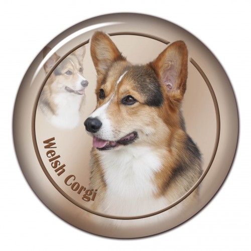 3D sticker Welsh Corgi 102 C