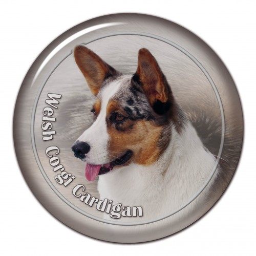 3D sticker Welsh Corgi Cardigan 101 C