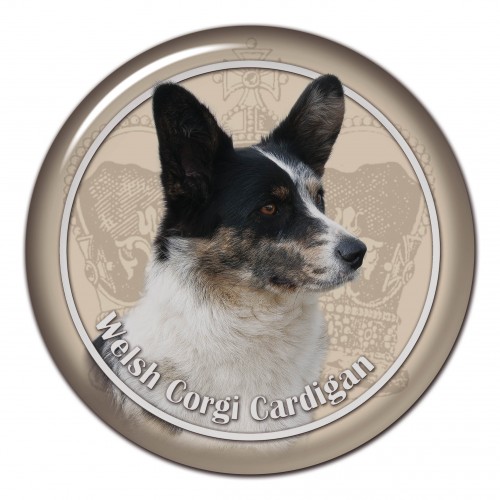 3D sticker Welsh Corgi Cardigan 102 C