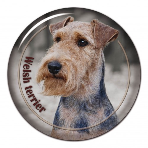 3D sticker Welsh Terrier 101 C