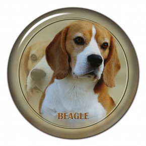 Beagle 102 C