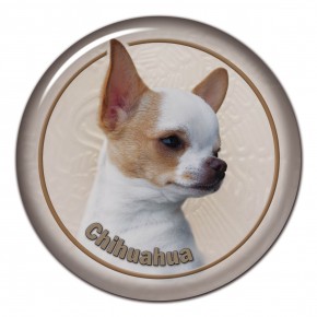Chihuahua 105 C