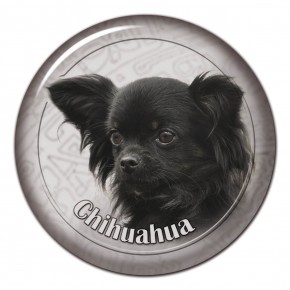 Chihuahua 107 C