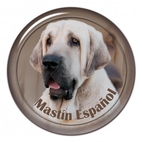 Mastin Espaniol 101 C
