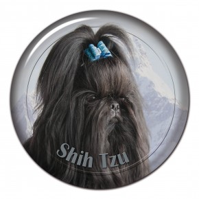 Shih Tzu 102 C