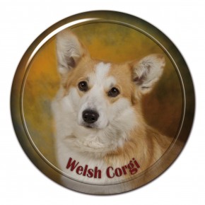 Welsh Corgi 101 C