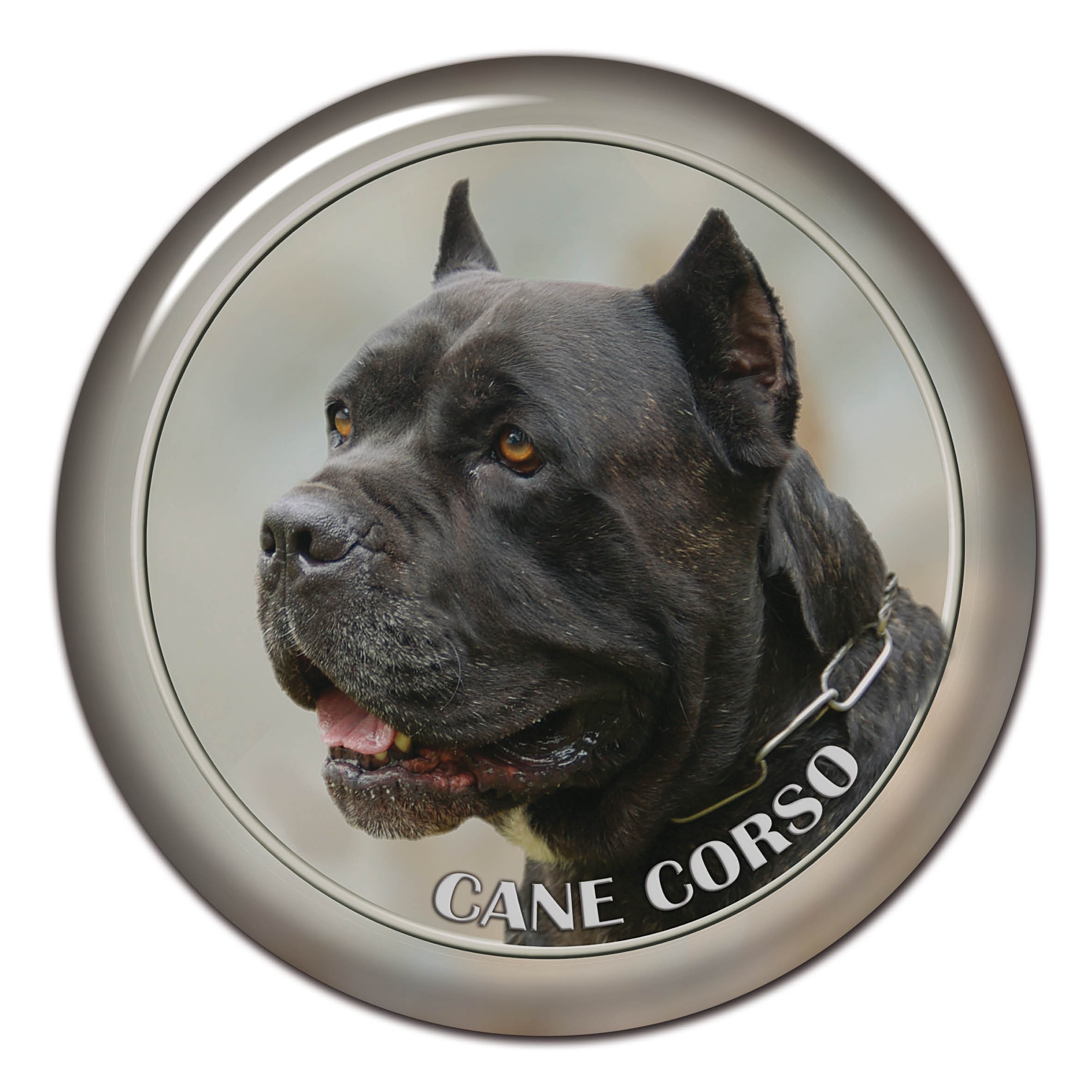 Cane Corso on Board наклейка