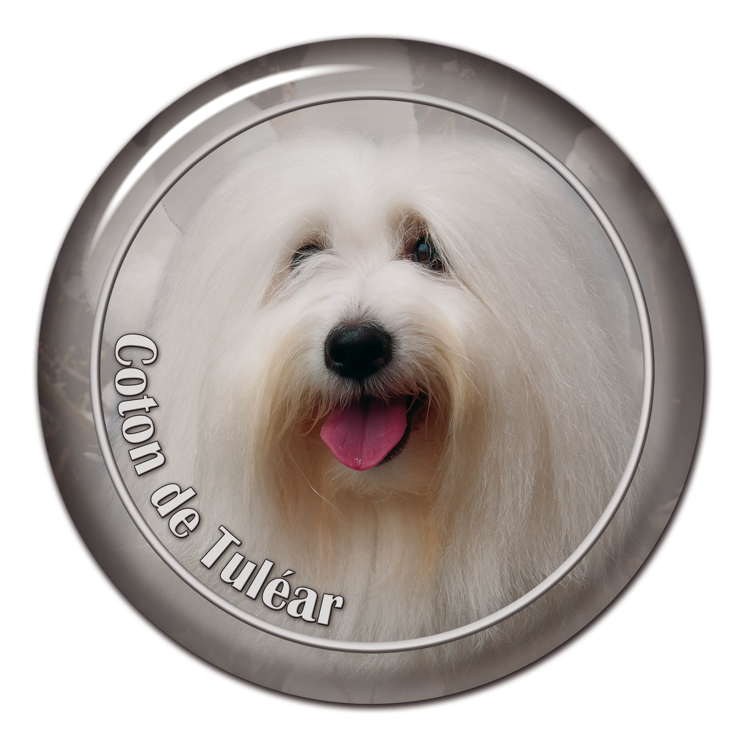 Download 3D sticker Coton De Tulear 101 C from AllDogStickers.com - dog breed stickers not only for your car.