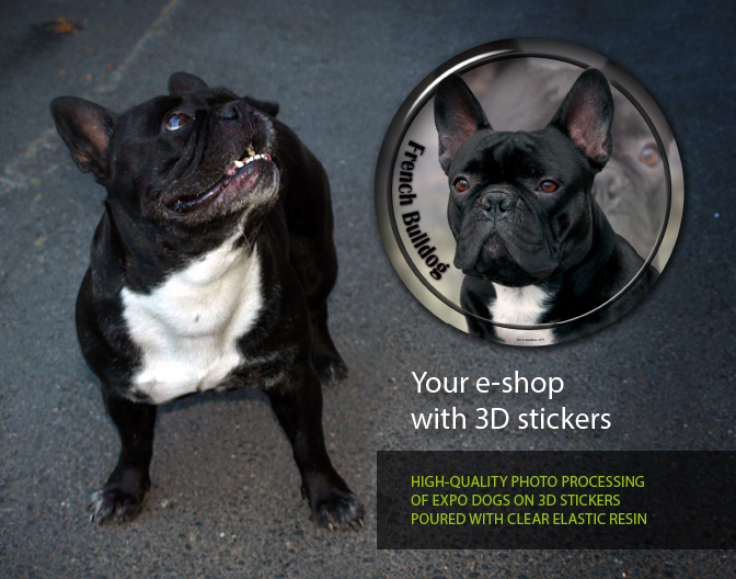 Your e-shop with 3D dog stickers