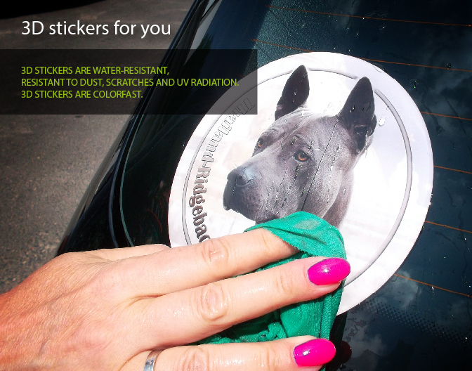 3D car stickers with your dog